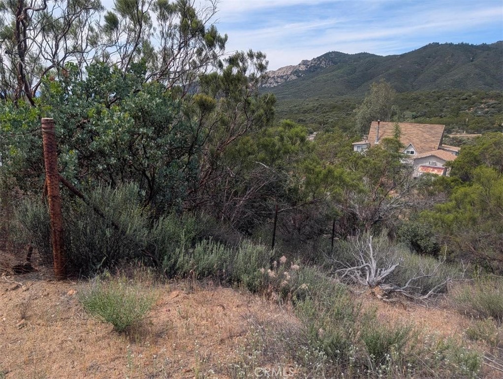 0 Murray Hills Road Anza, CA 92539 - Photo 4 of 18