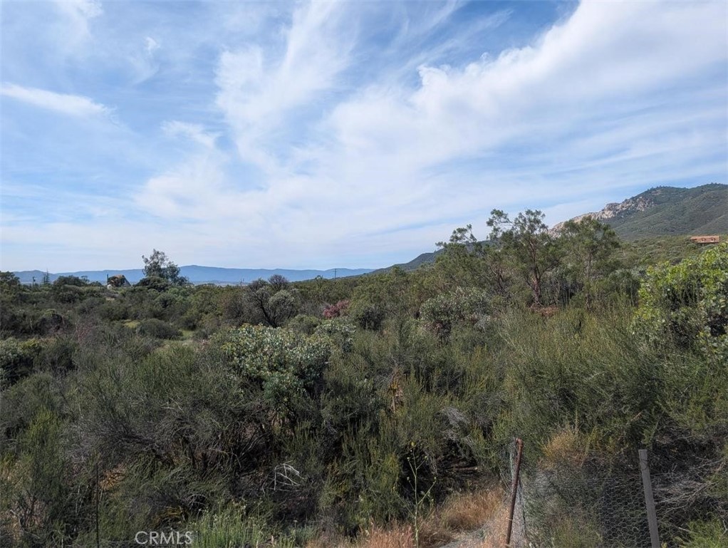 0 Murray Hills Road Anza, CA 92539 - Photo 5 of 18