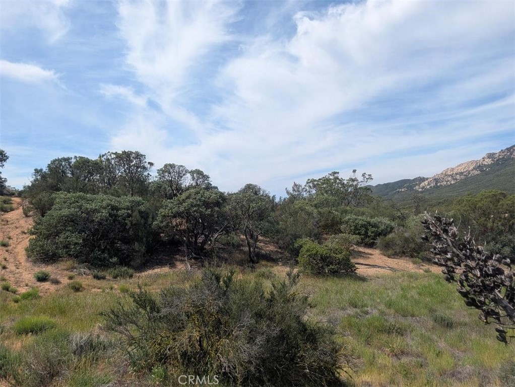 0 Murray Hills Road Anza, CA 92539 - Photo 6 of 18