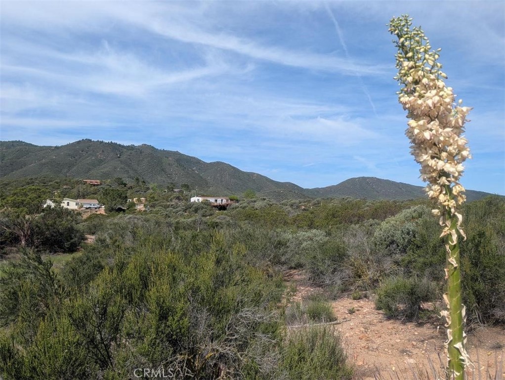 0 Murray Hills Road Anza, CA 92539 - Photo 8 of 18