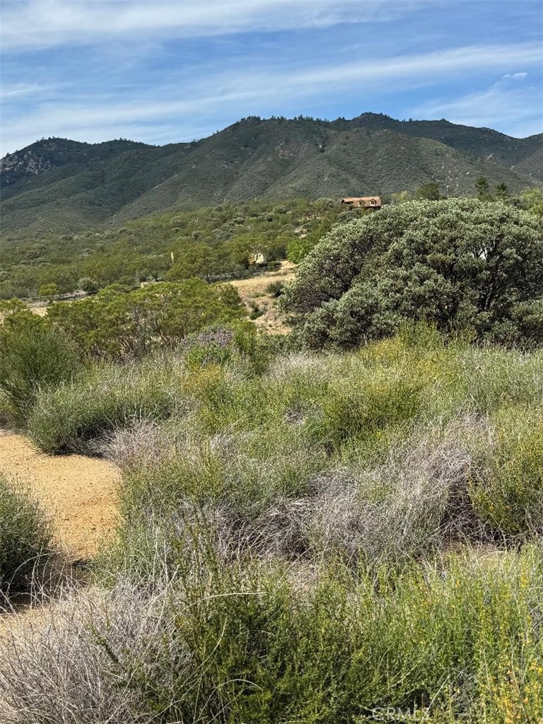0 Murray Hills Road Anza, CA 92539 - Photo 9 of 18