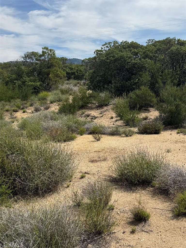 0 Murray Hills Road Anza, CA 92539 - Photo 10 of 18