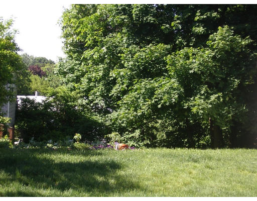 32 Kilsythe Road Arlington, MA 02476 - Photo 7 of 7