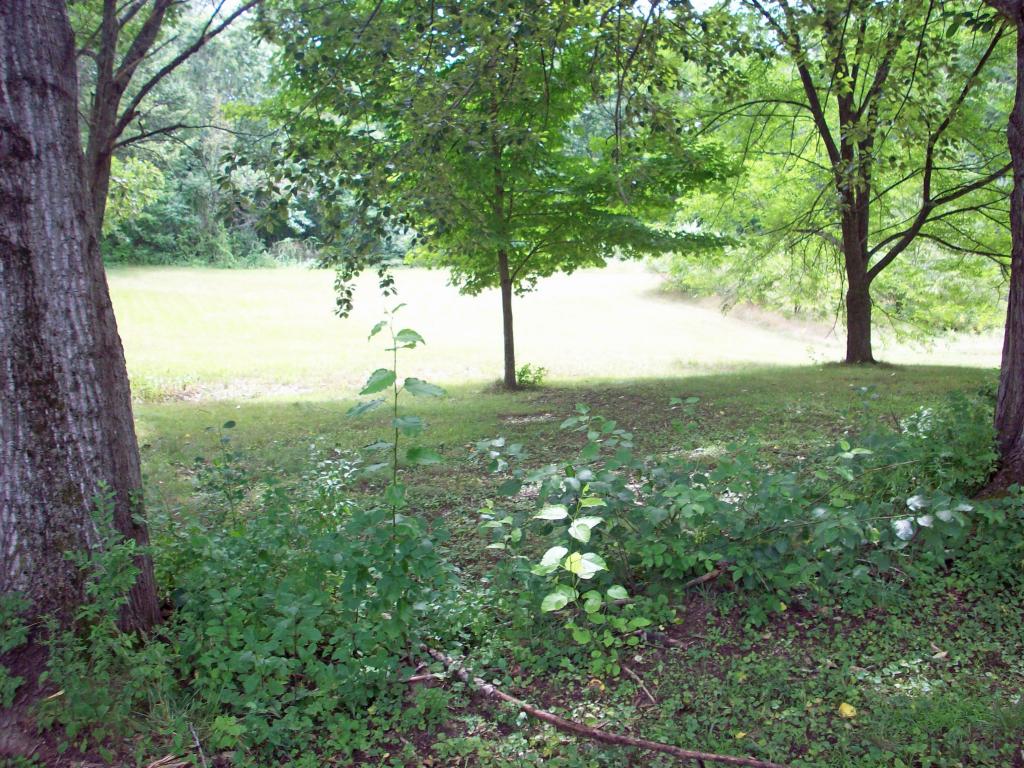 996 Rt 132n New Hampton, NH 03256 - Photo 14 of 17