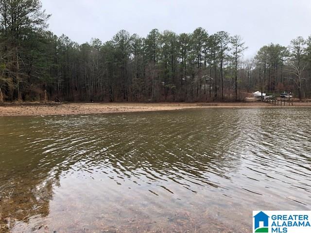 0 Lakeside Lane, Unit 31 Alpine, AL 35014 - Photo 20 of 42