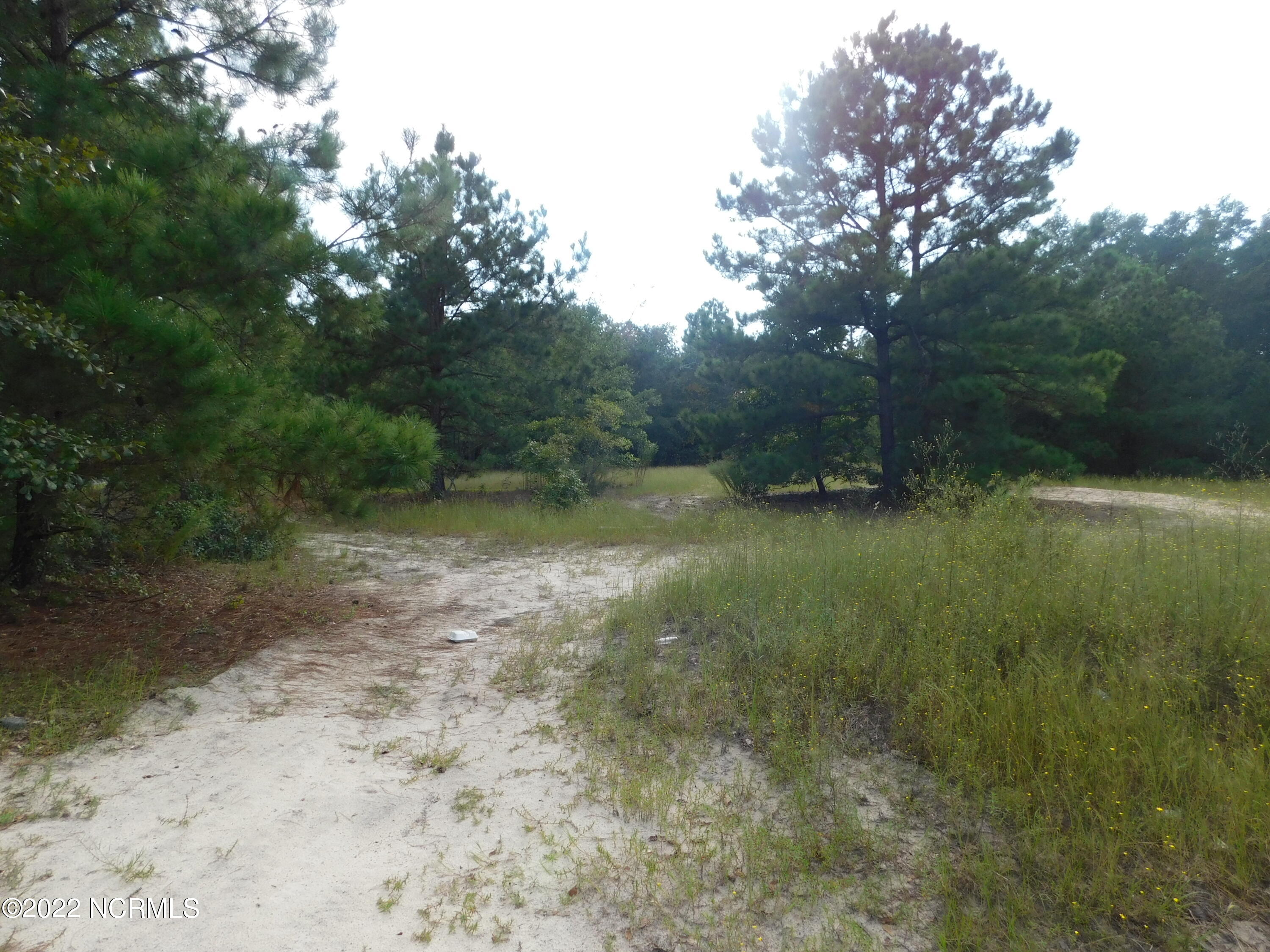 58 Bowen Grocery Road McColl, SC 29570 - Photo 16 of 16 DSCN6743