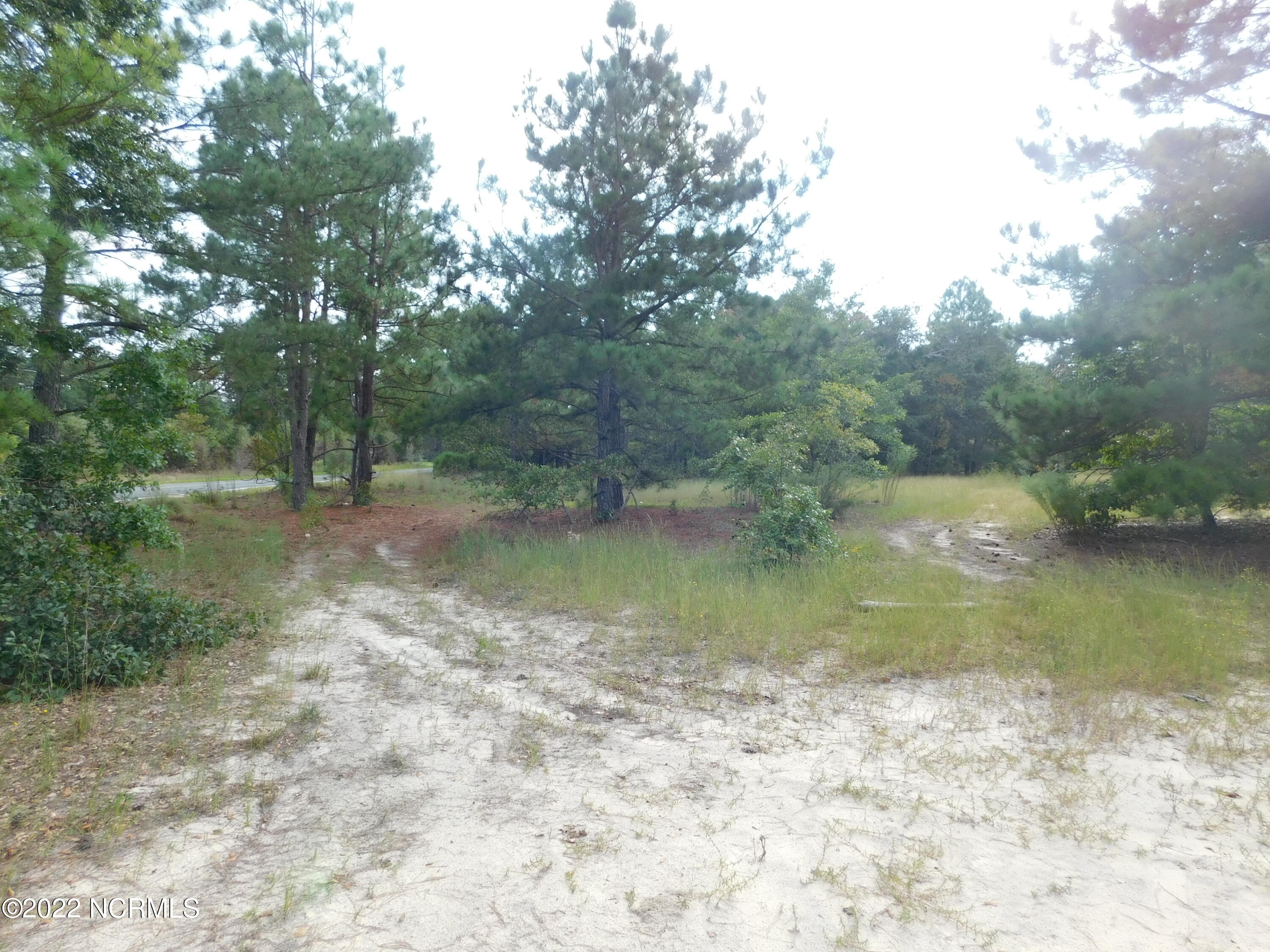 58 Bowen Grocery Road McColl, SC 29570 - Photo 2 of 16 DSCN6745