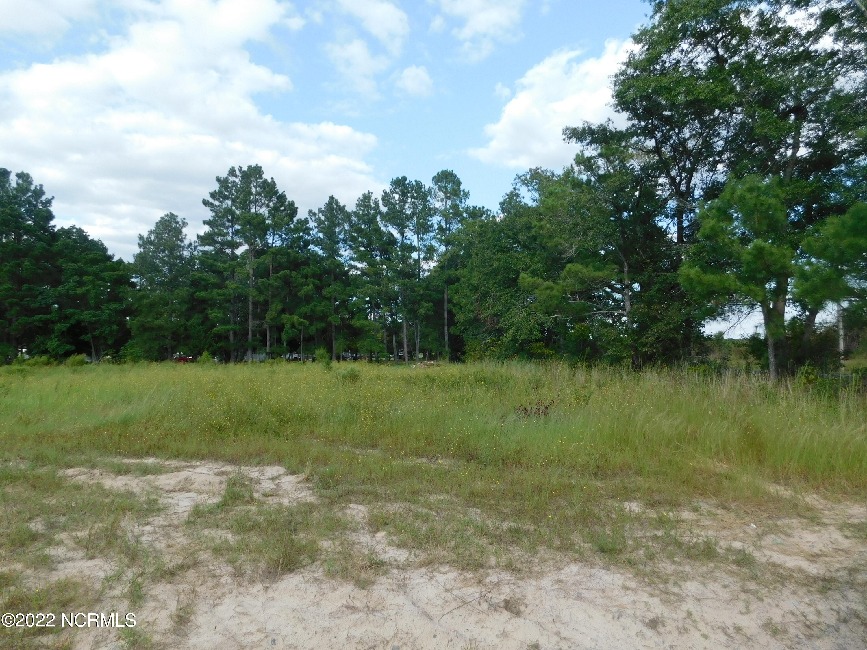 58 Bowen Grocery Road McColl, SC 29570 - Photo 3 of 16 DSCN6740
