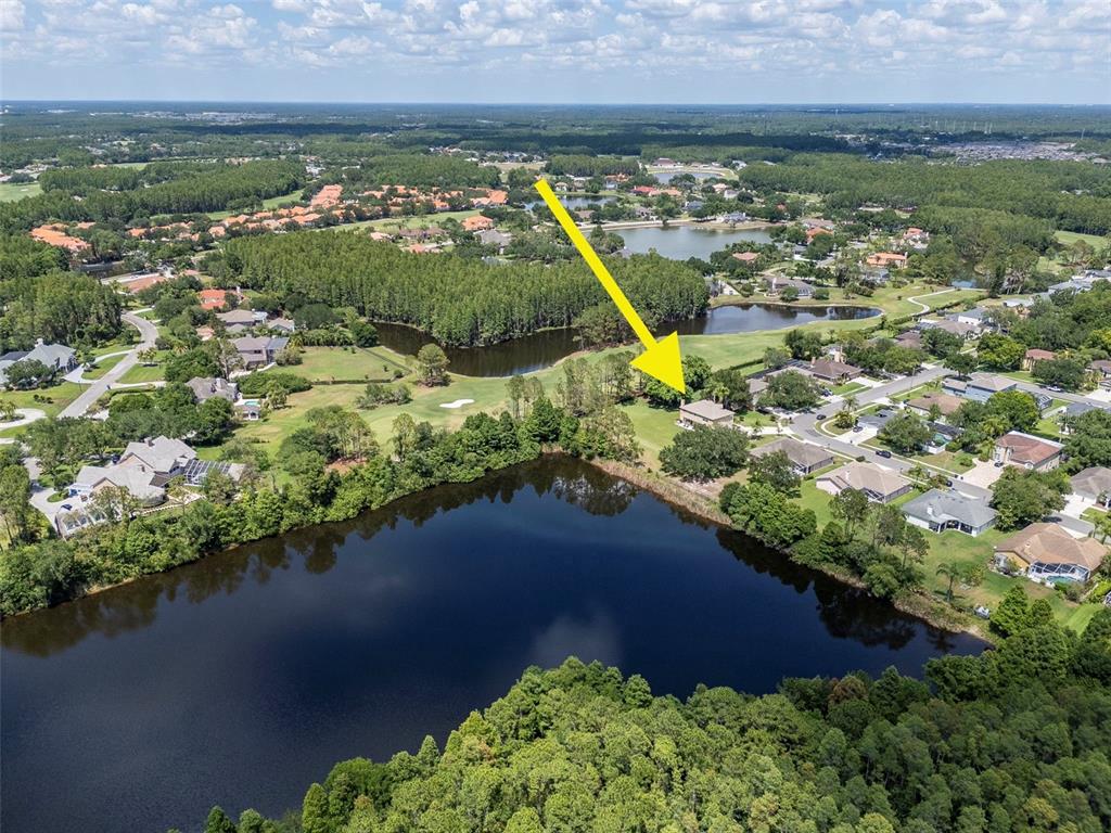 18511 Bittern Avenue Lutz, FL 33558 - Photo 59 of 63