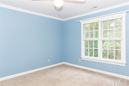 10813 Cahill Road Raleigh, NC 27614 - Photo 18 of 25 2" blinds ar featured in the 3rd bedroom along with a ceiling fan with light. Bedroom