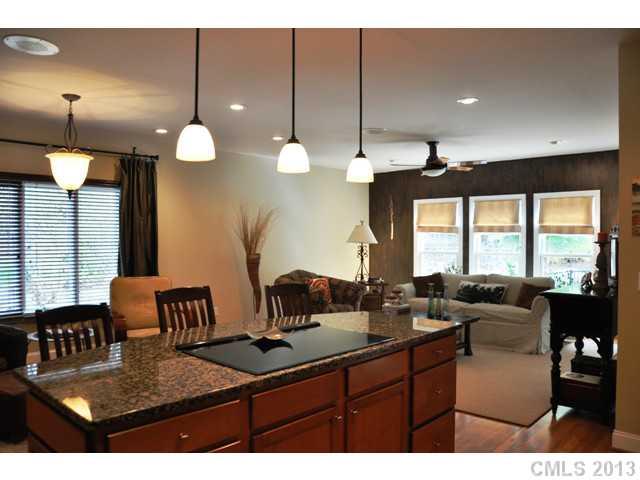 11616 Terrill Ridge Drive Davidson, NC 28036 - Photo 5 of 16 Gallery Image 5