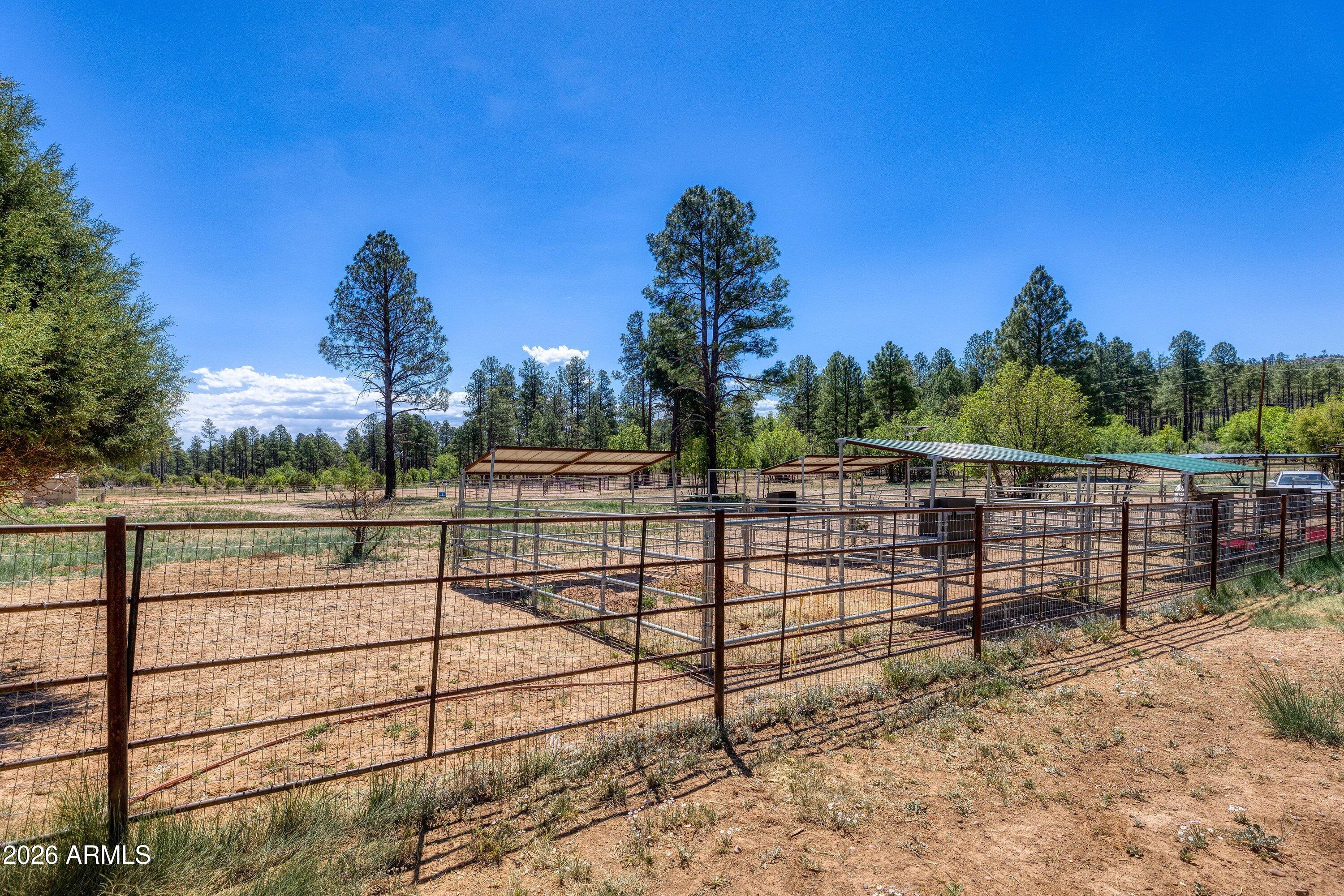 5182 Pinedale Wash Road Pinedale, AZ 85934 - Photo 44 of 54 a view of a tennis court with a large tree