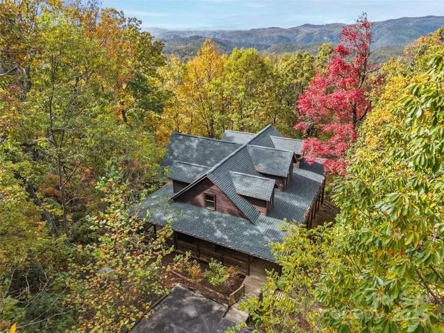 a view of a lush green field with a mountain in the background