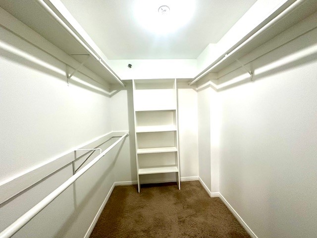 3525 Sage Road, Unit 407 Houston, TX 77056 - Photo 26 of 45 Oversized walking closet