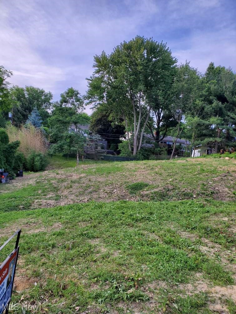 2595 Ridgewood Road Akron, OH 44313 - Photo 6 of 7 vacant lot