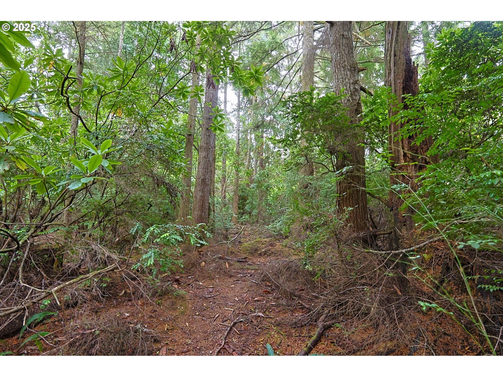 63817 Wallace Road Coos Bay, OR 97420 - Photo 11 of 12