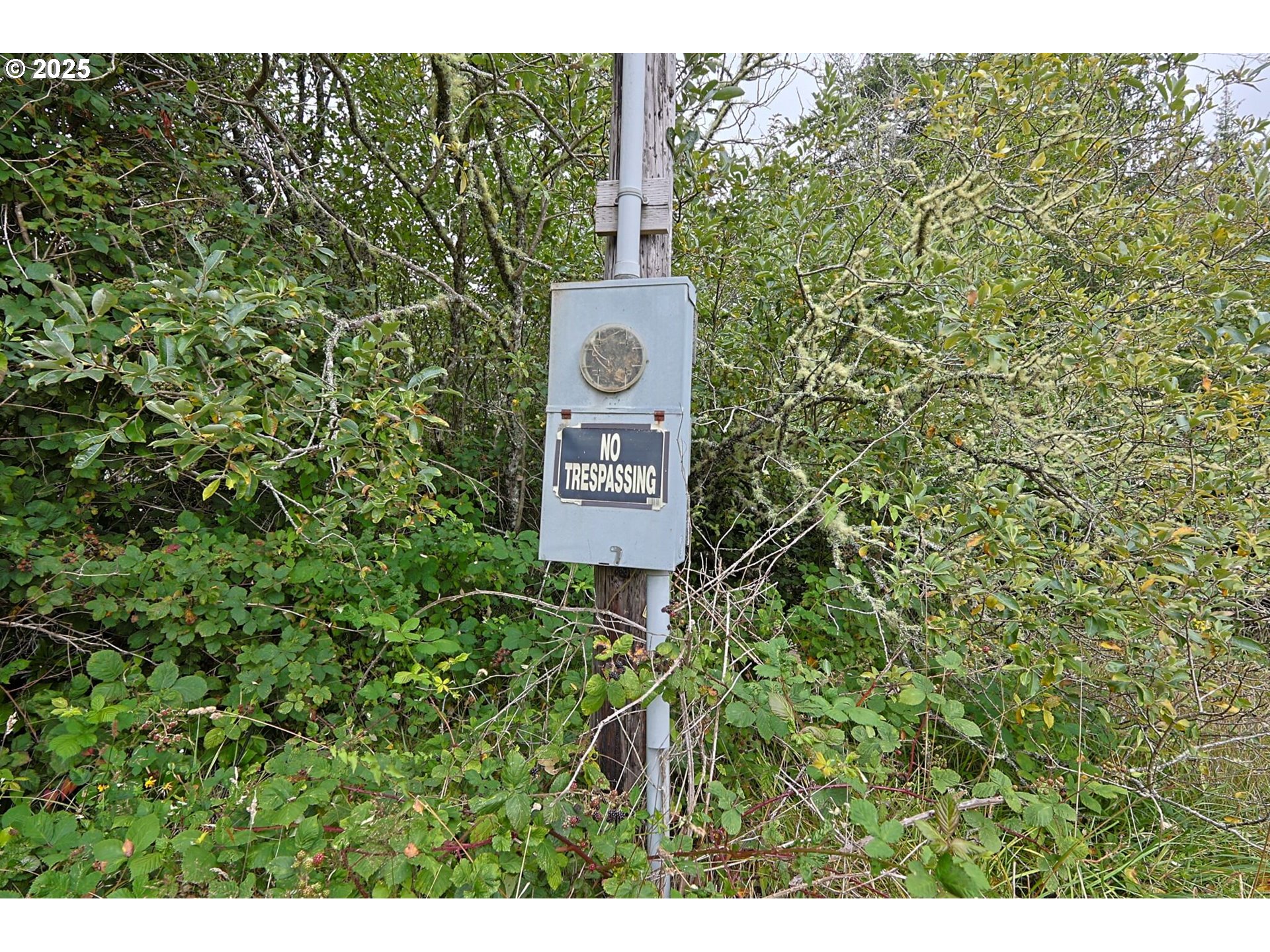 63817 Wallace Road Coos Bay, OR 97420 - Photo 2 of 12