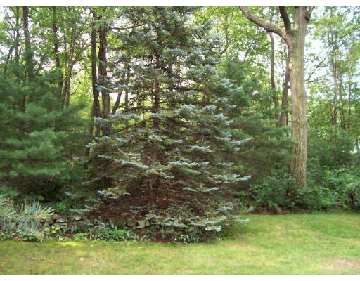 234 Concord Avenue Lexington, MA 02421 - Photo 7 of 7 Gallery Image 7