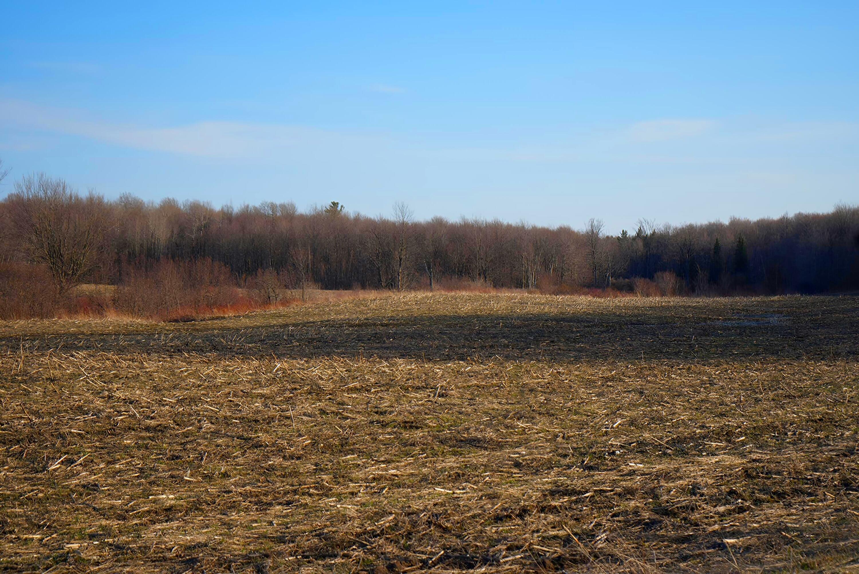 0 White Road Mooers Forks, NY 12959 - Photo 15 of 15 photo-output