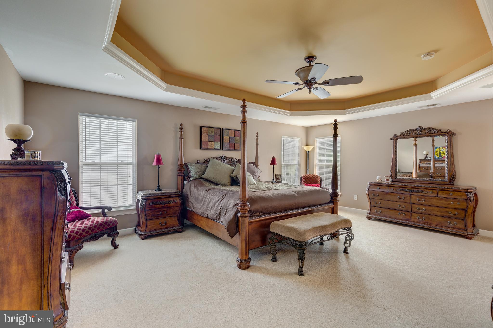 640 Spring Meadow Drive Westminster, MD 21158 - Photo 22 of 91 Custom trey ceiling