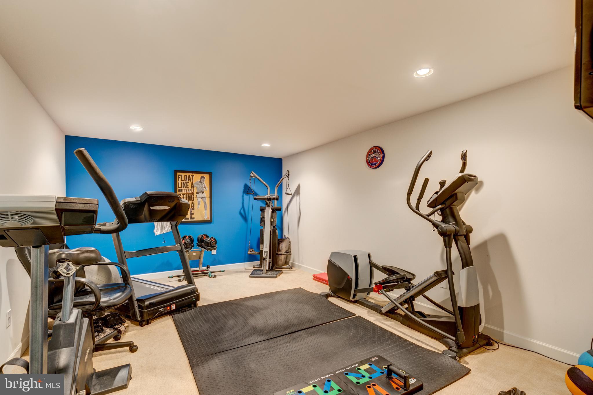 640 Spring Meadow Drive Westminster, MD 21158 - Photo 26 of 91 Lower level has room for a dedicated work out area