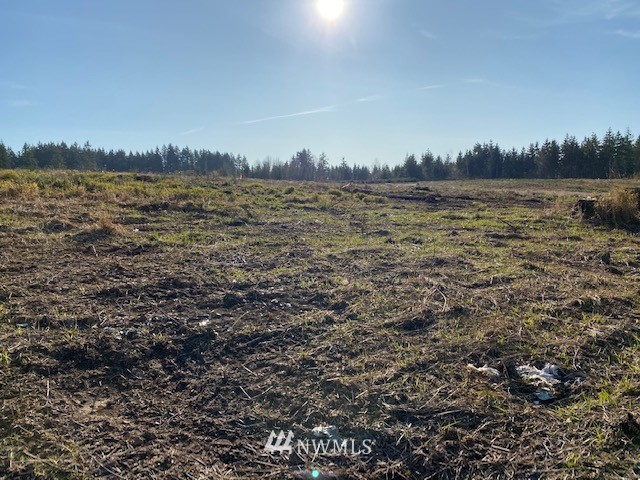 1 Logan Hill Road Chehalis, WA 98532 - Photo 1 of 9