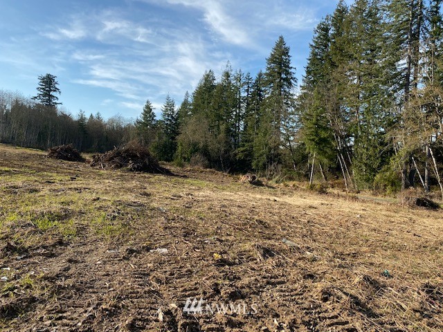 1 Logan Hill Road Chehalis, WA 98532 - Photo 2 of 9