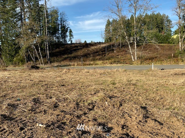 1 Logan Hill Road Chehalis, WA 98532 - Photo 3 of 9