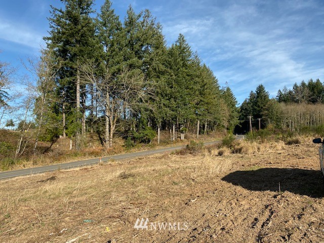 1 Logan Hill Road Chehalis, WA 98532 - Photo 4 of 9