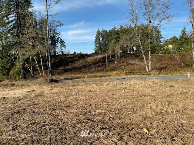 1 Logan Hill Road Chehalis, WA 98532 - Photo 5 of 9