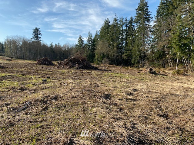 1 Logan Hill Road Chehalis, WA 98532 - Photo 6 of 9