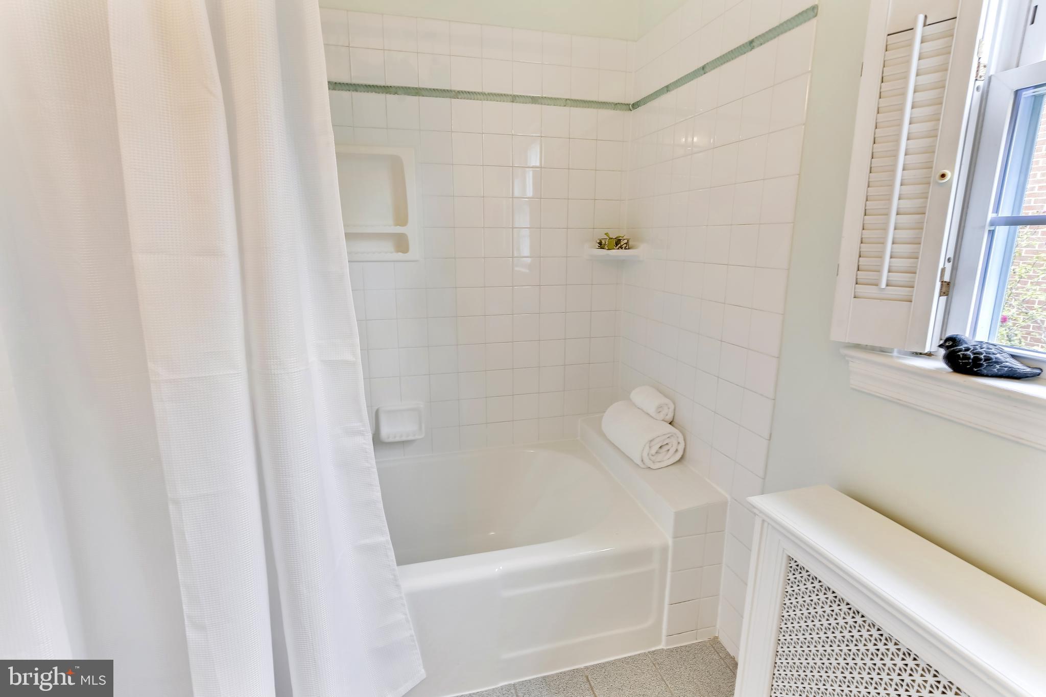 2601 Farm Road Alexandria, VA 22302 - Photo 30 of 51 Shower
