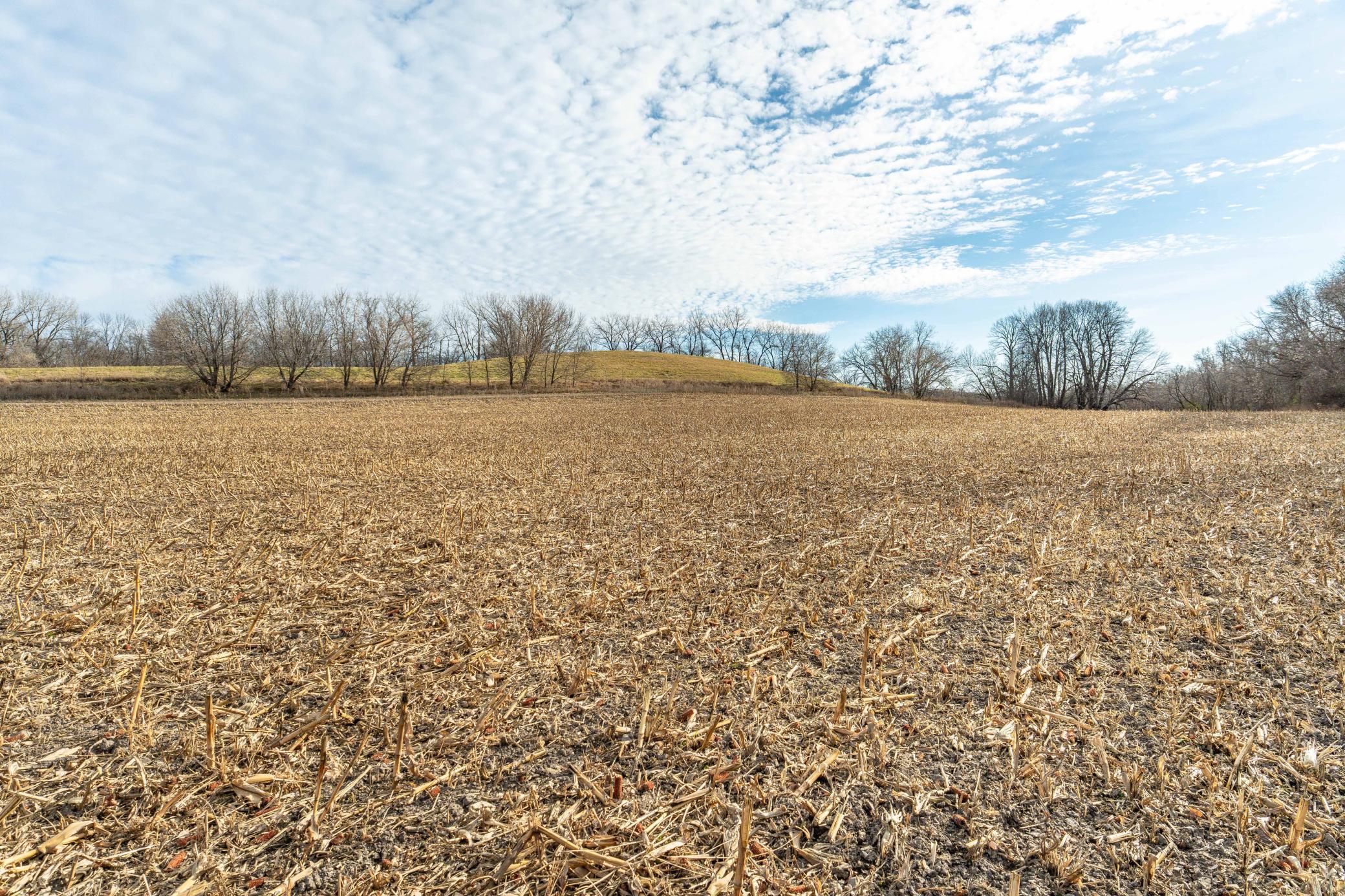 Tbd 280th Avenue Fergus Falls, MN 56537 - Photo 11 of 32