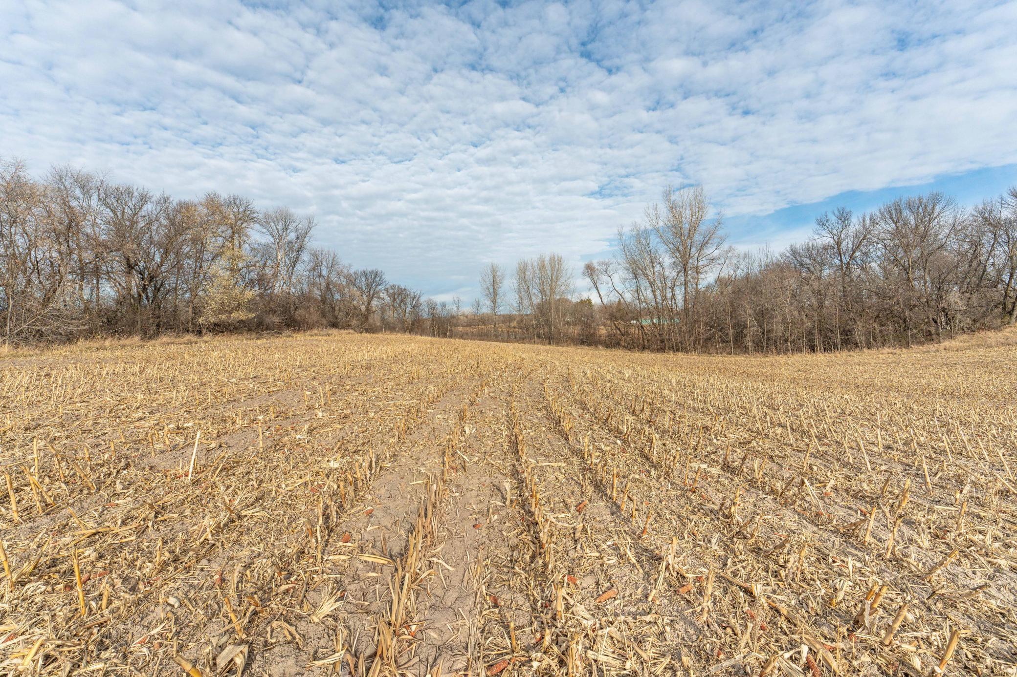 Tbd 280th Avenue Fergus Falls, MN 56537 - Photo 12 of 32