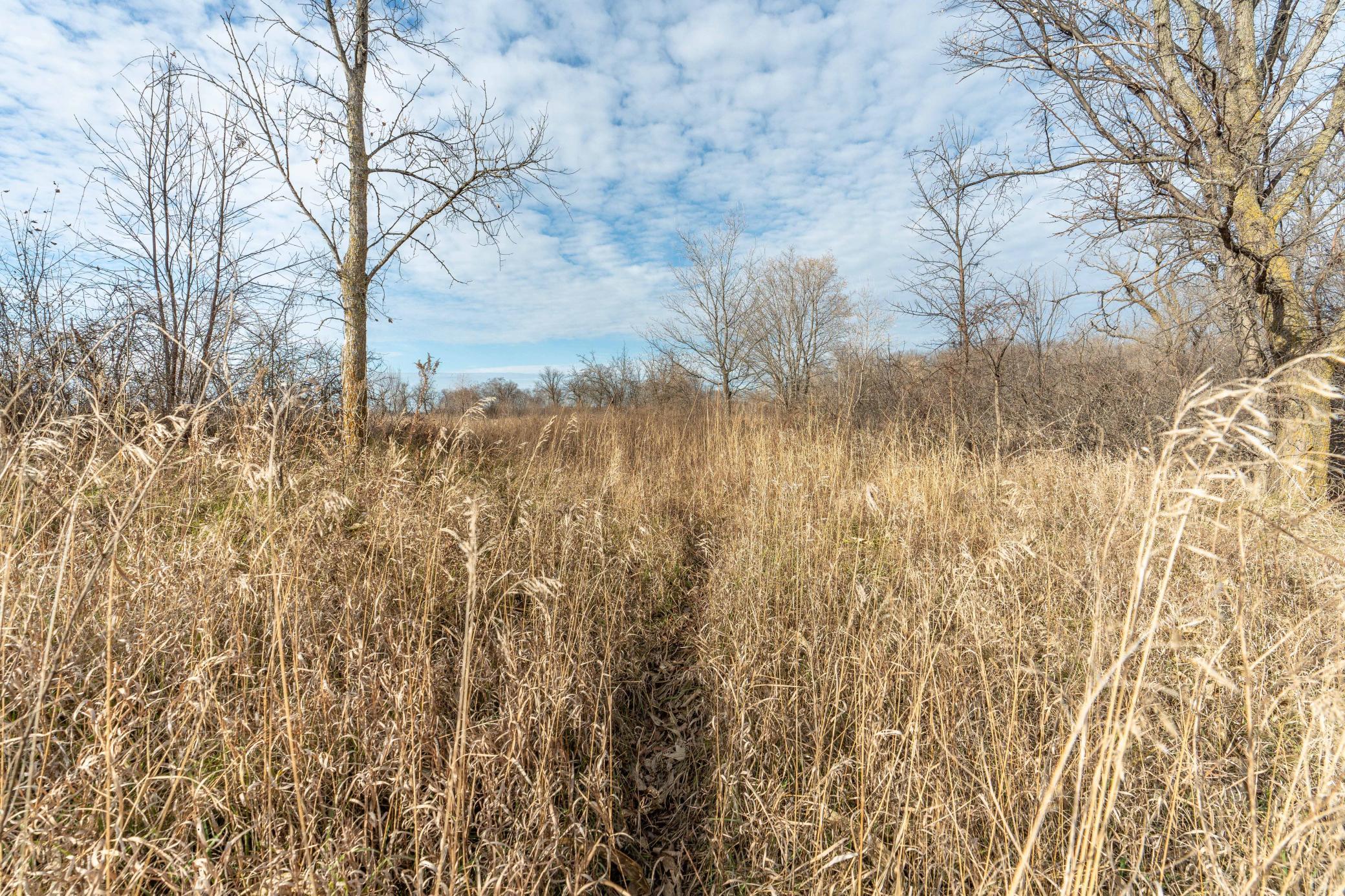Tbd 280th Avenue Fergus Falls, MN 56537 - Photo 13 of 32