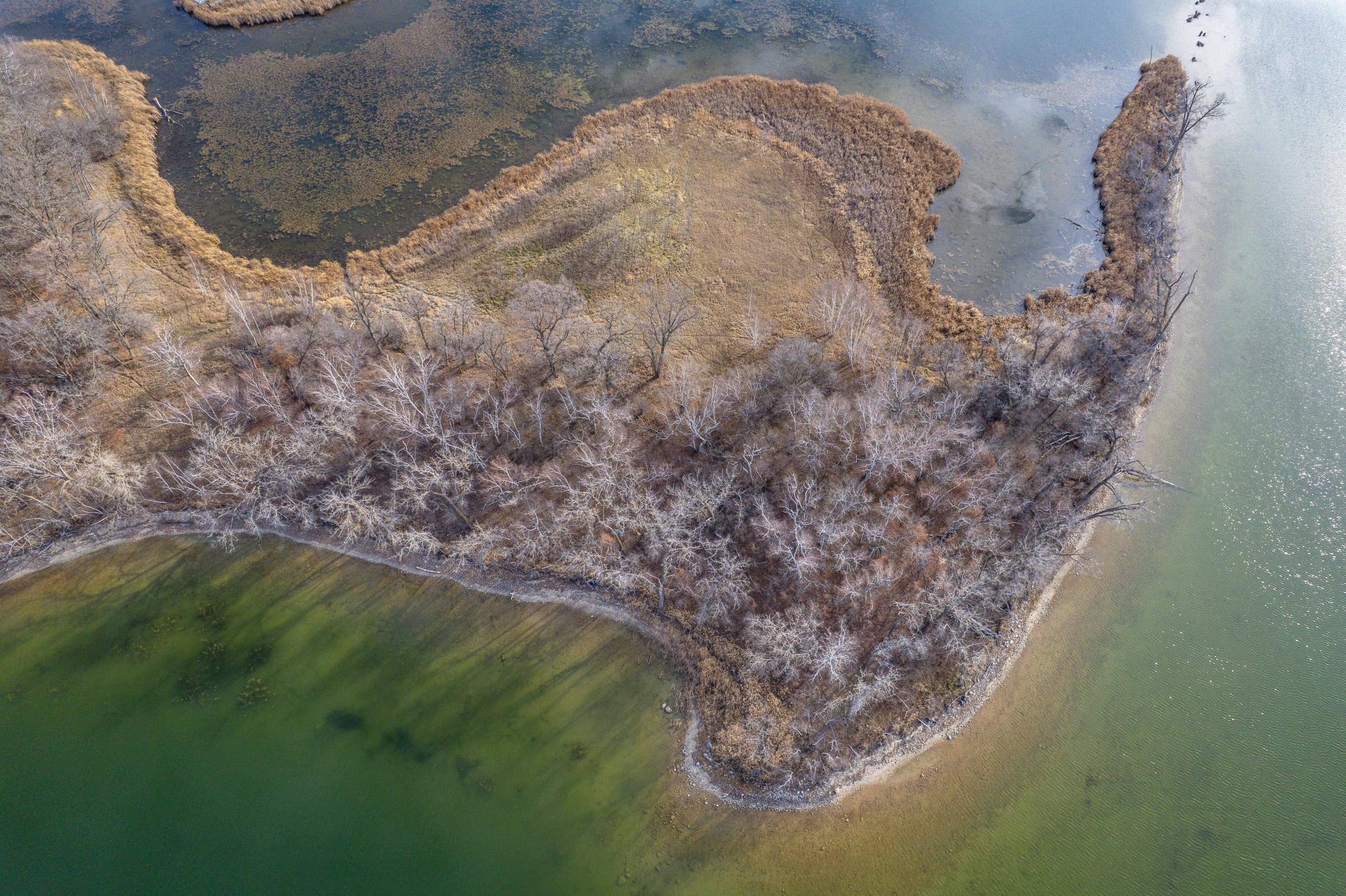 Tbd 280th Avenue Fergus Falls, MN 56537 - Photo 24 of 32