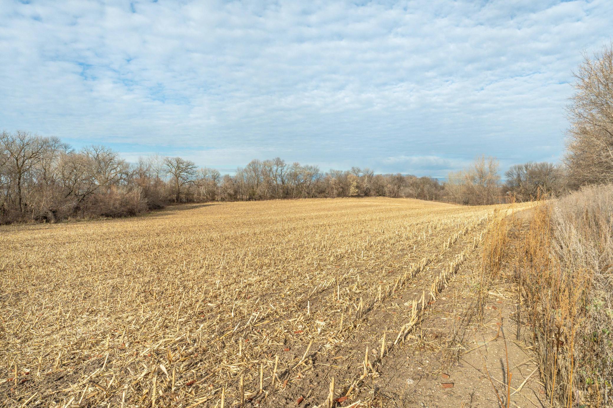 Tbd 280th Avenue Fergus Falls, MN 56537 - Photo 8 of 32