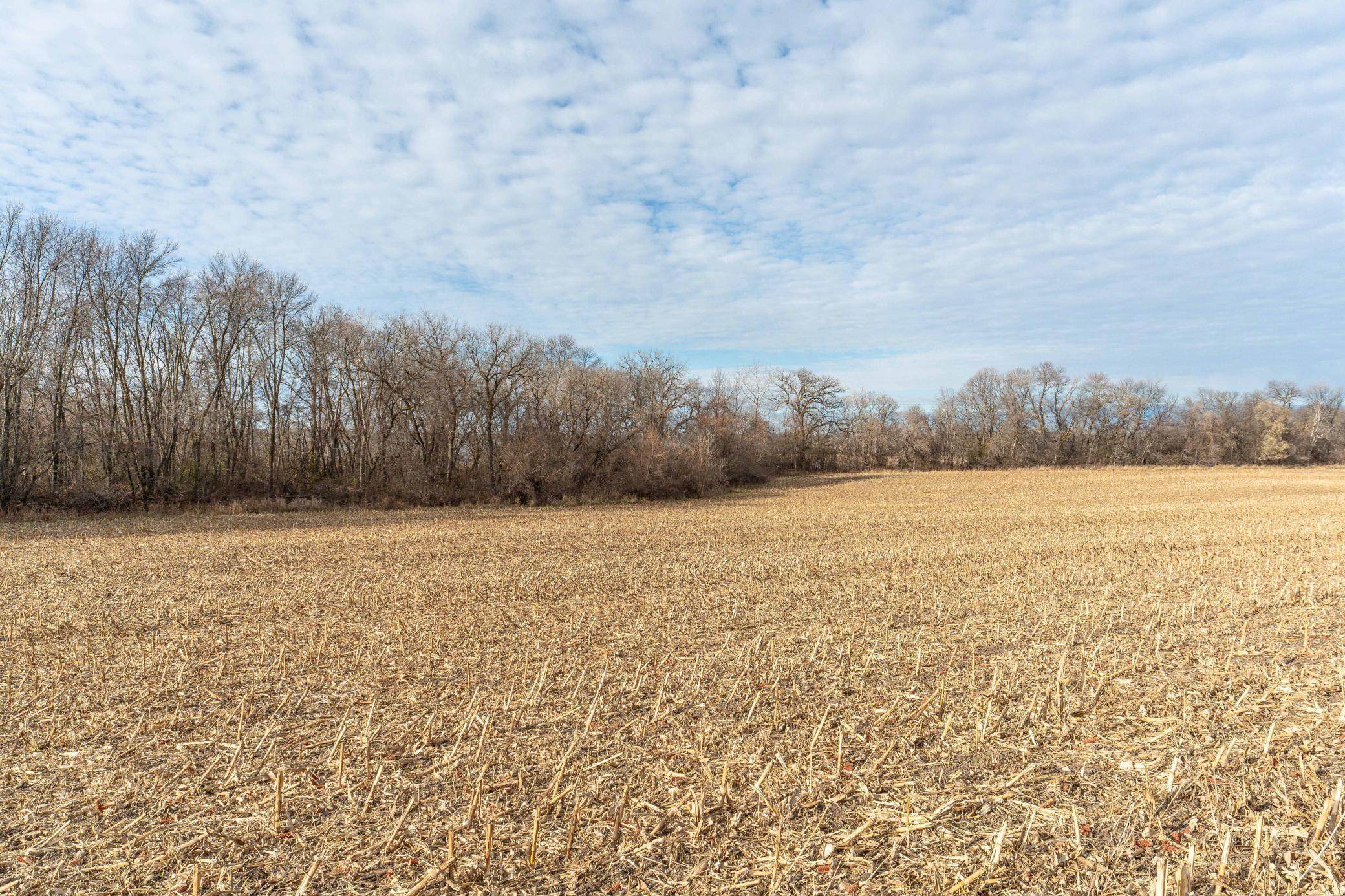 Tbd 280th Avenue Fergus Falls, MN 56537 - Photo 9 of 32