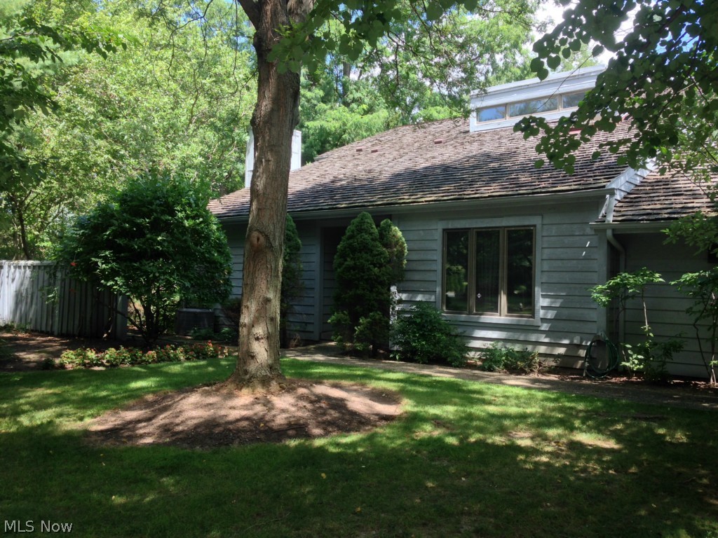 Wooded private yard