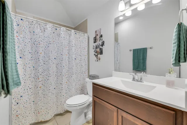 a bathroom with a sink a toilet and shower curtain