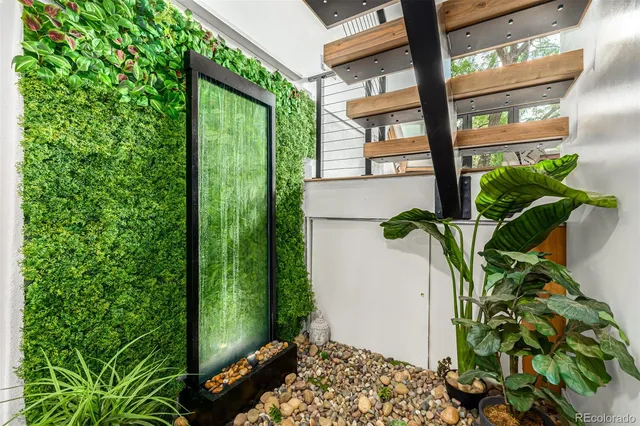 a plant with a plant in front of it