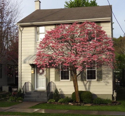 1507 Oneida Street Huntingdon, PA 16652 - Photo 1 of 1 Gallery Image 1