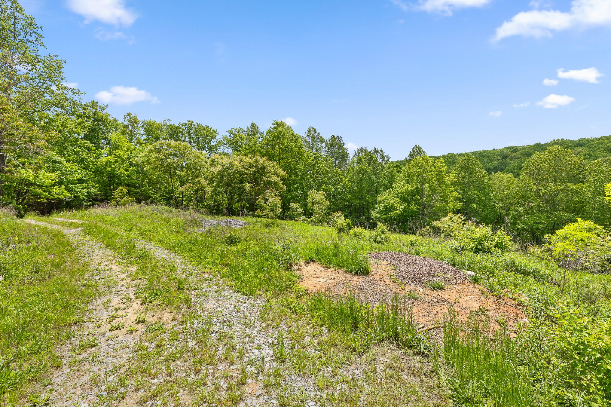 0 Dandy Road Signal Mountain, TN 37377 - Photo 2 of 40