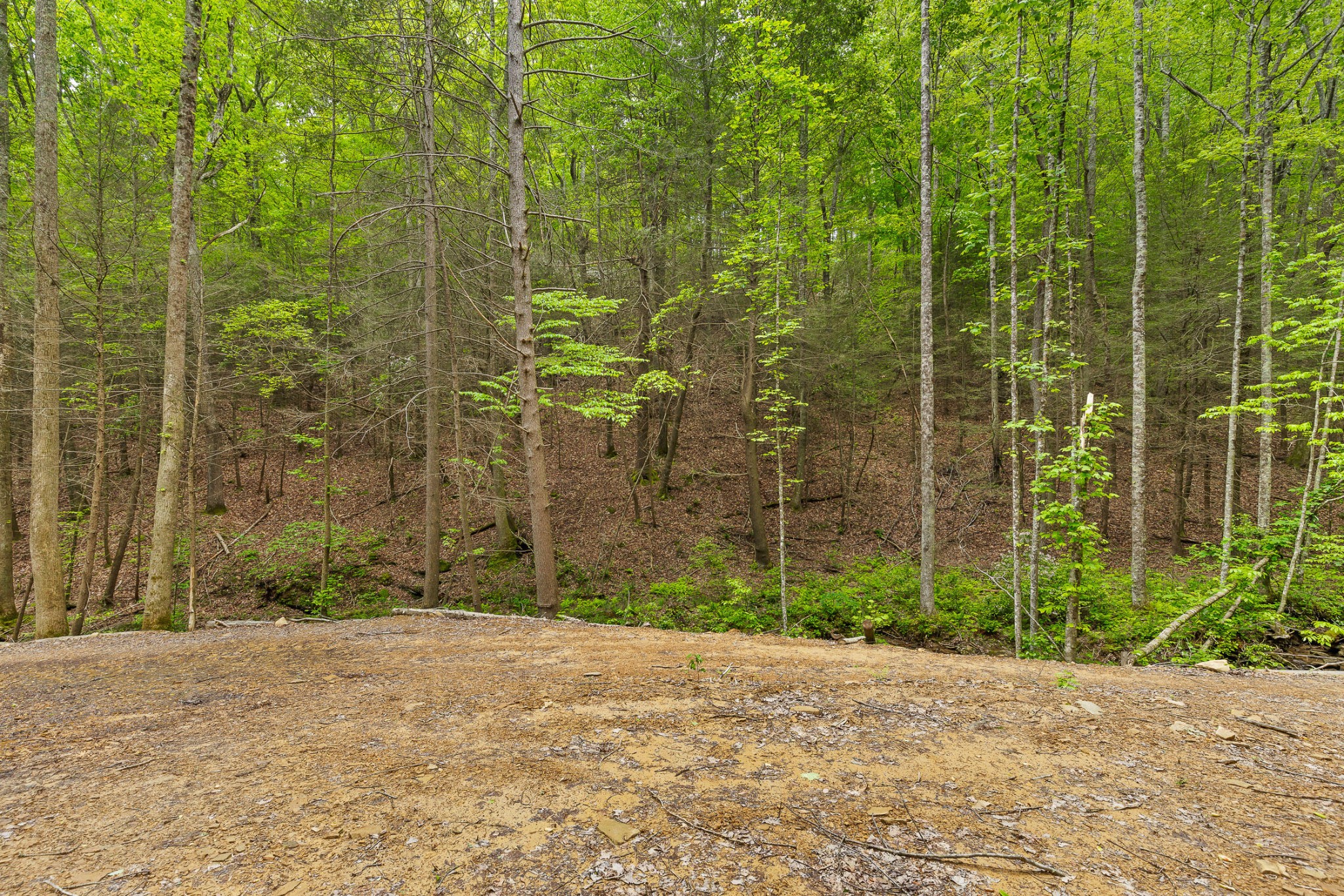0 Dandy Road Signal Mountain, TN 37377 - Photo 29 of 40