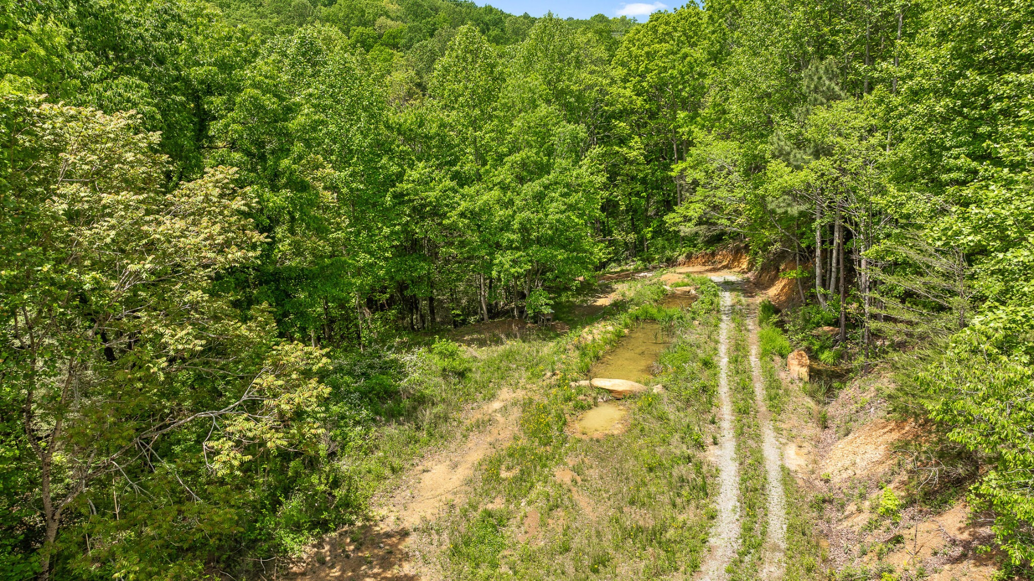 0 Dandy Road Signal Mountain, TN 37377 - Photo 35 of 40