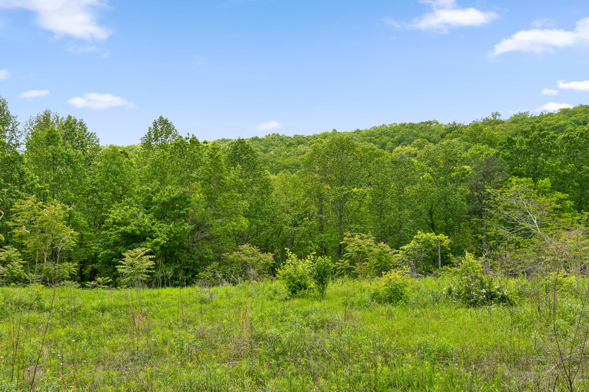 0 Dandy Road Signal Mountain, TN 37377 - Photo 6 of 40
