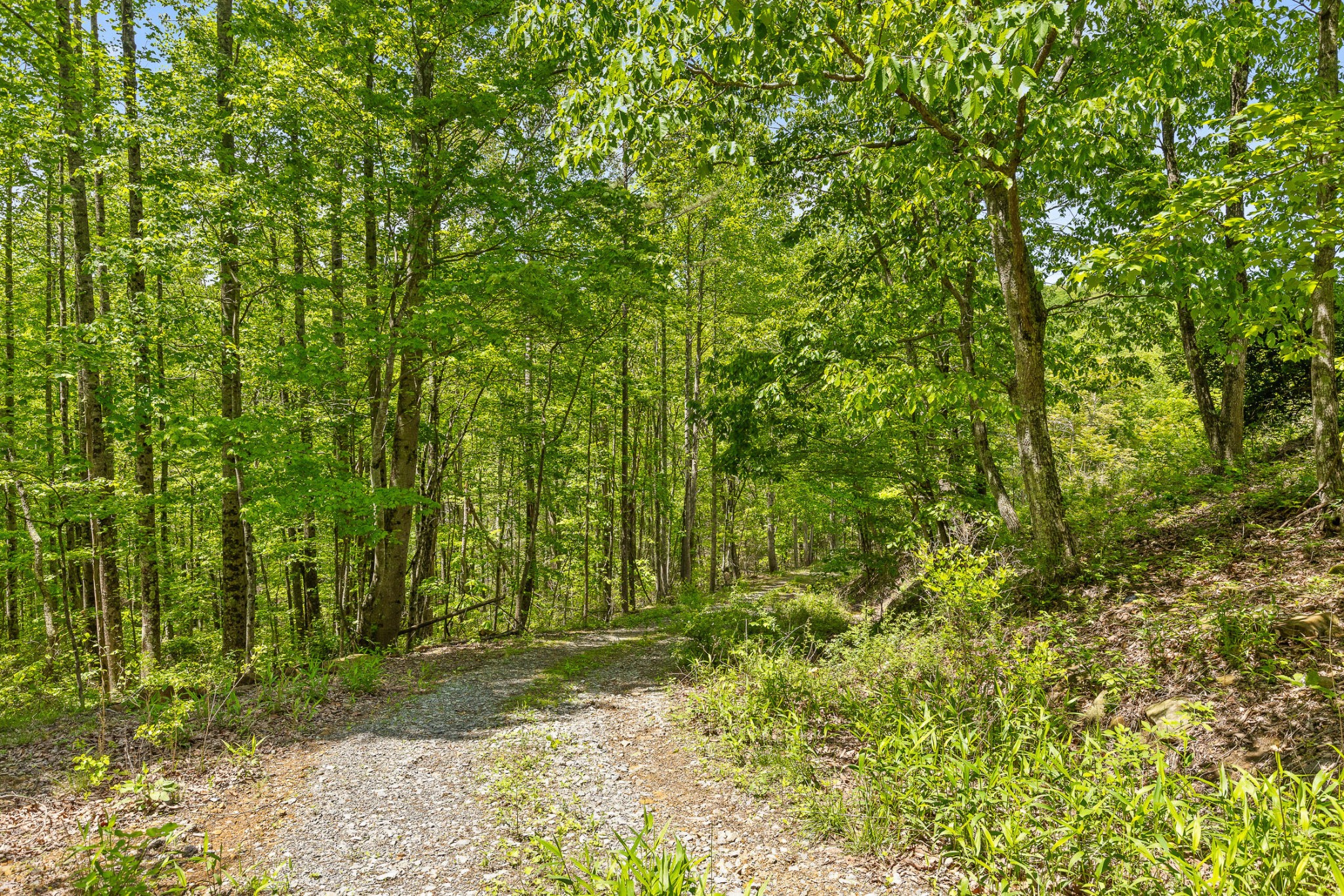 0 Dandy Road Signal Mountain, TN 37377 - Photo 8 of 40