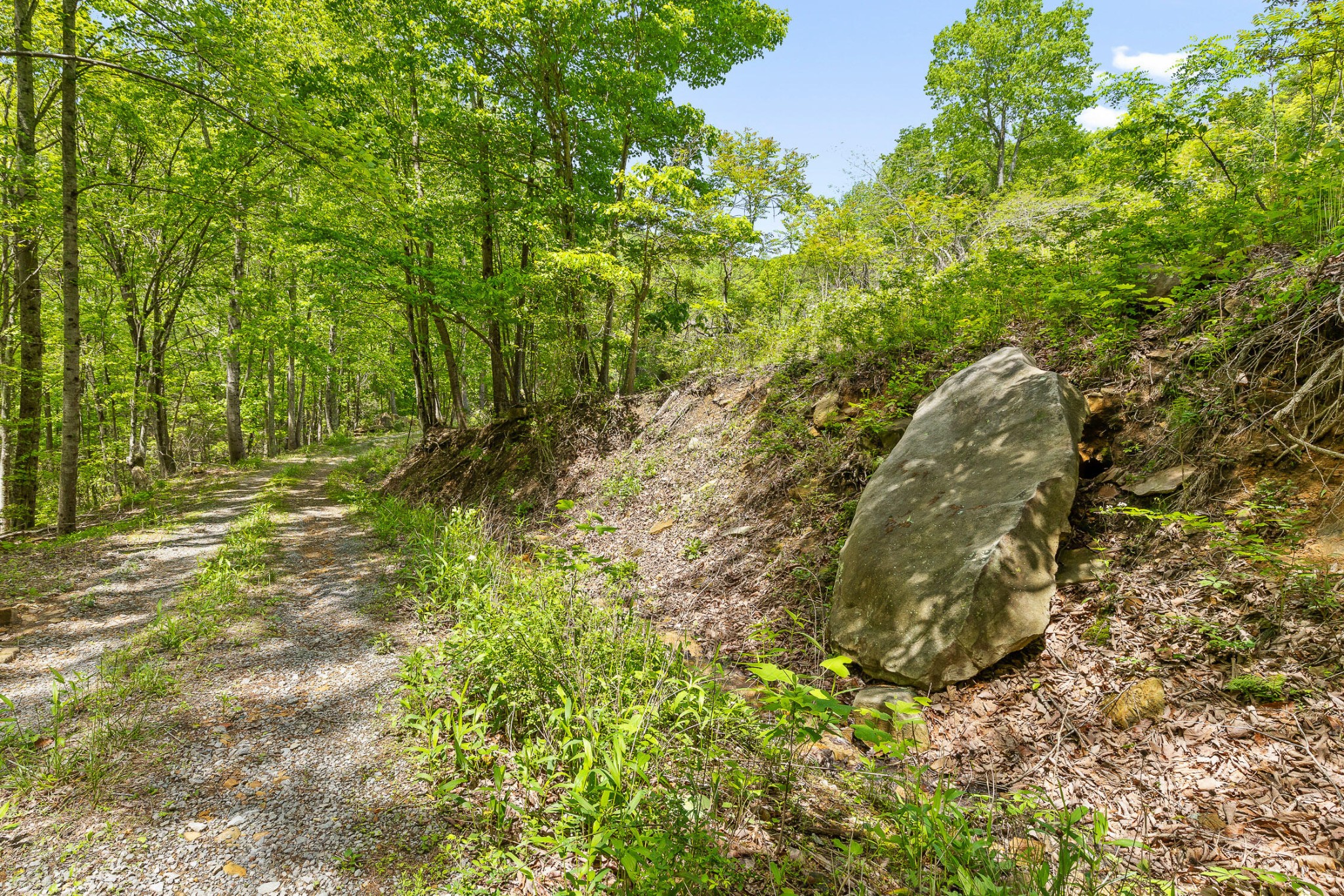0 Dandy Road Signal Mountain, TN 37377 - Photo 9 of 40
