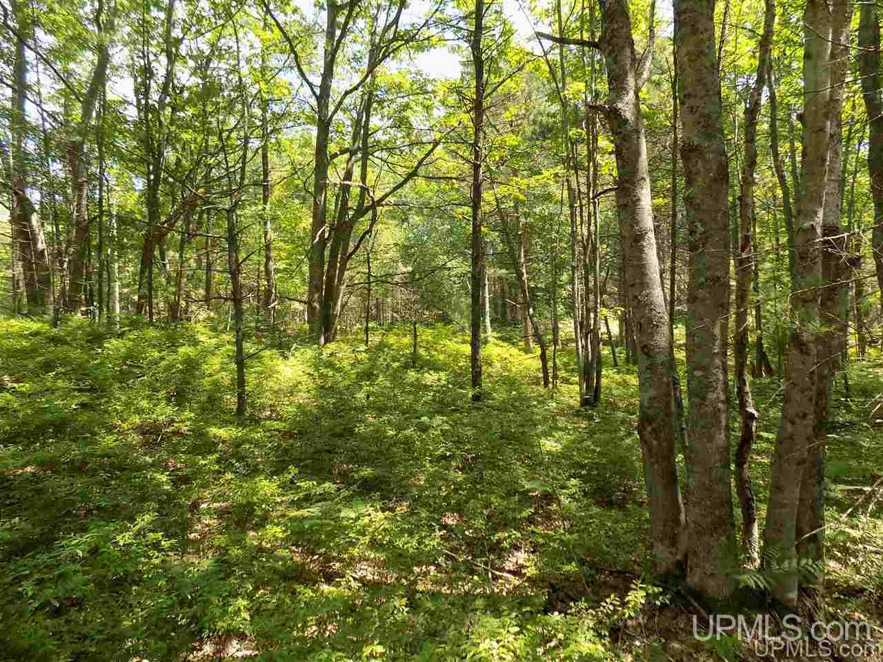Tbd Top O Lake Road Gulliver, MI 49840 - Photo 16 of 38