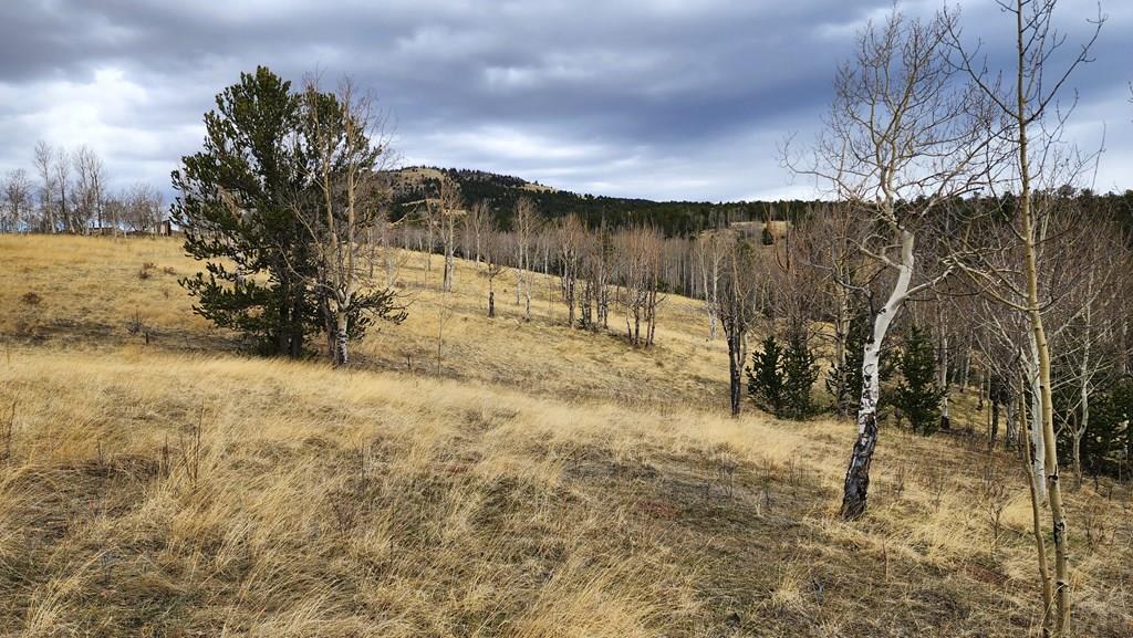 0 County Road Victor, CO 80860 - Photo 10 of 21